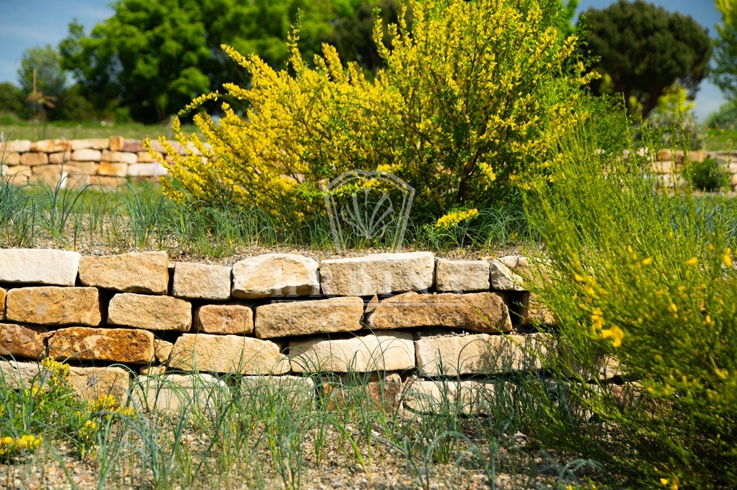dendrologicka zahrada,hrdina piskovce,vyhnanov, zahradní skalky