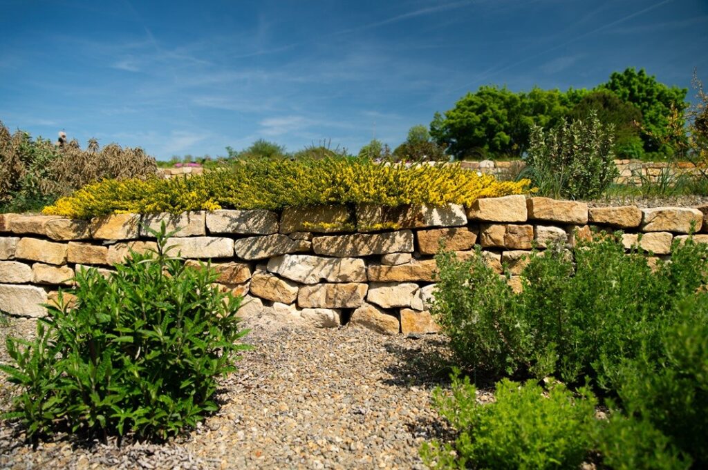 dendrologicka zahrada,hrdina piskovce,vyhnanov