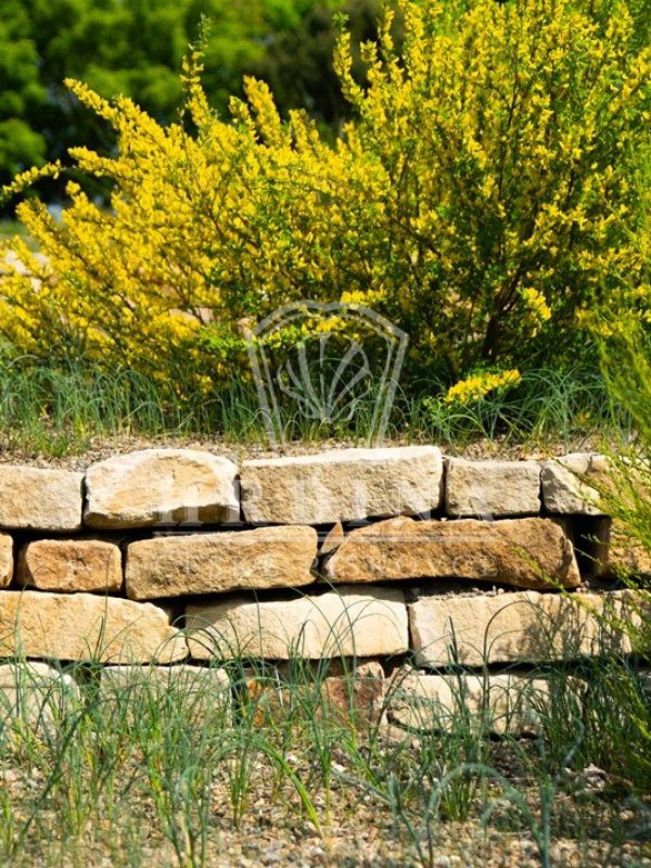 dendrologicka zahrada,hrdina piskovce,vyhnanov, zahradní skalky