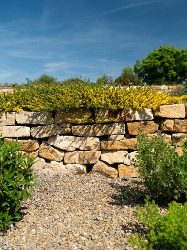 dendrologicka zahrada,hrdina piskovce,vyhnanov